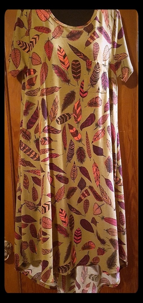 LuLaRoe Carly, dress